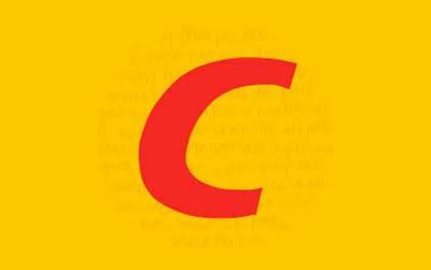 canetascompactor1