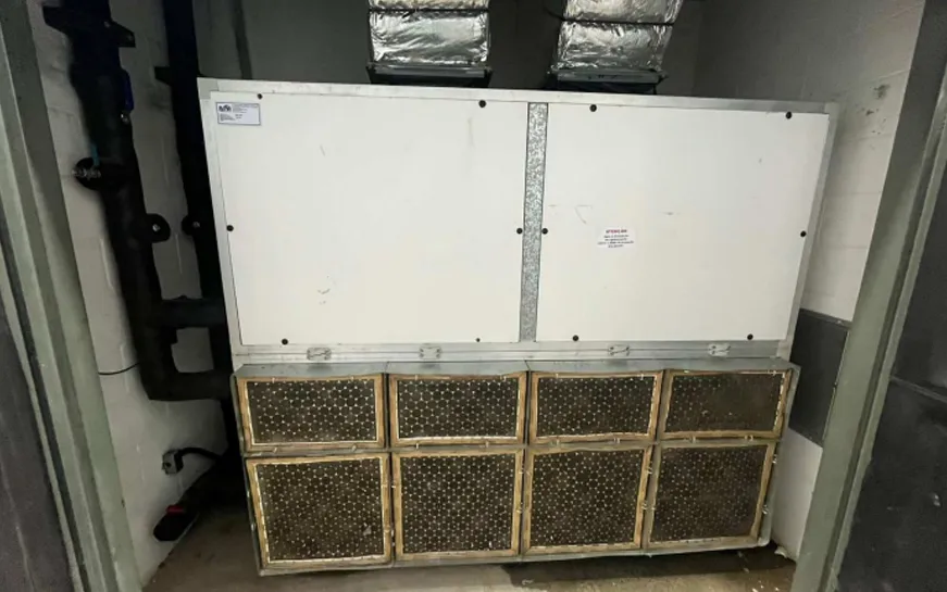 canetascompactor2